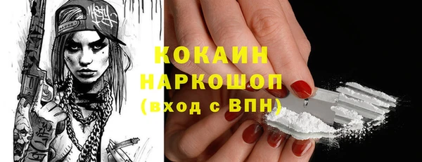 крисы Няндома