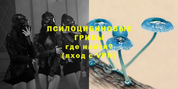 крисы Няндома