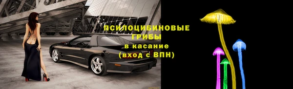 PSILOCYBIN Нягань