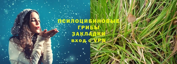 тгк Новодвинск