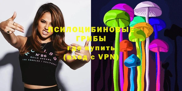 крисы Няндома