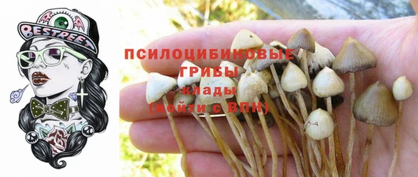 MDMA Нязепетровск