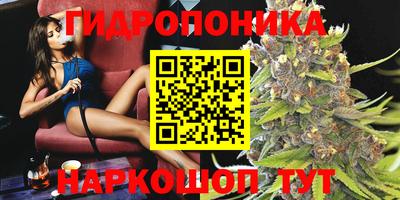 эйфоретик Будённовск