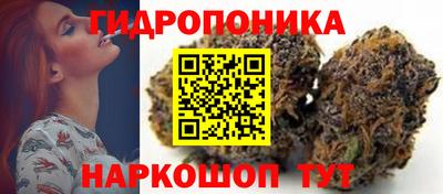 эйфоретик Будённовск