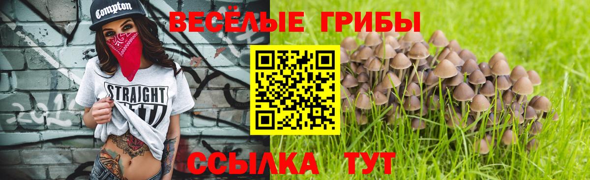 Надым  Псилоцибиновые грибы MAGIC MUSHROOMS  Вход с VPN  Псилоцибиновые грибы MAGIC MUSHROOMS 